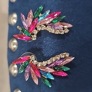 Multi colored crystal rhinestones earrings!